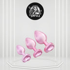 EclipseVine Butt Plug Trainer Kit